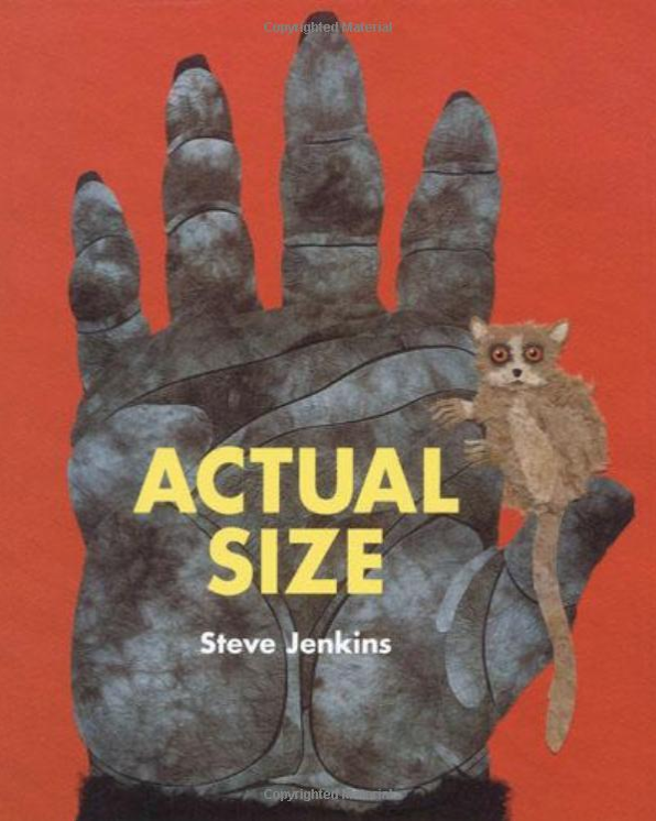 幼児向けおすすめ英語絵本 Actual Size 洋書 他 ゆきらぼ